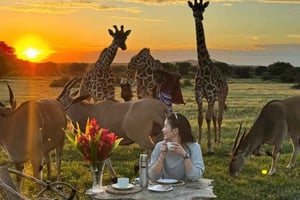 JOURNÉE DÉDRIÉE AUX SERVALS - EXCURSION AU DÉPART D'ARUSHA, DE MOSHI OU DE ZANZIBAR.