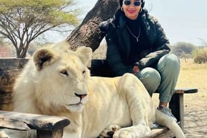 Serval Wildlife: tour de un día con encuentros con animales