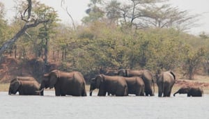 Skylink Travel and Tours Ltd