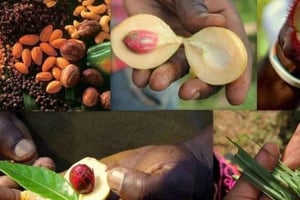 Zanzibar: Spice Tour & Stone Town Walking Tour