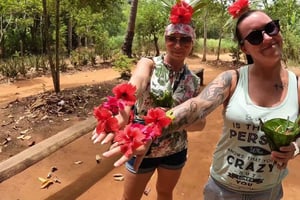 スパイスツアー