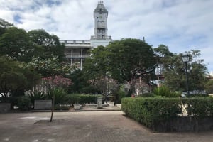 Stone Town: Stone Town and Prison Island Private Day Trip