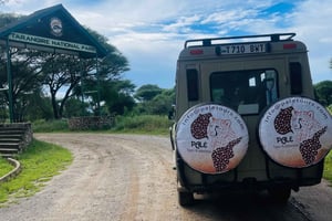 Групповые сафари по лучшим национальным паркам Танзании