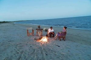Tanzânia: Safari no Parque Nacional de Saadani e viagem de 1 dia à praia