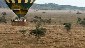 Serviços de Pacotes de Safáris da Tanzânia