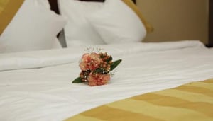 Tanzanite Executive Suites