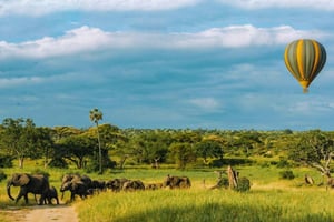 Tarangire: safari en globo y desayuno en la sabana