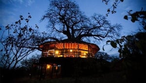 Tarangire Treetops