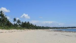 The Beach Crab Resort