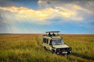 I migliori safari privati con pernottamento nel Parco Nazionale di Amboseli