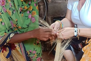 Svøm med skildpadder på The Lagoons Zanzibar i Nungwi