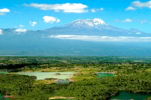 Arusha: Kilimanjaro Airport (JRO) Taxi & Transfers to Arusha