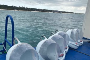 Undervannsgåing på Zanzibar, ingen svømming nødvendig