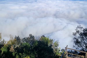 УСАМБАРА: 4-дневный поход по горам Усамбара