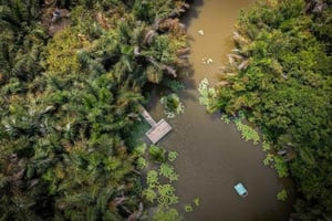 Visite guidée de la Réserve Forestière de Vikindu