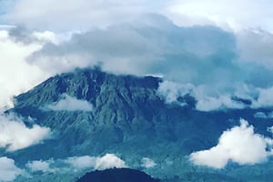 Wandeldagtocht naar Arusha Nationaal Park