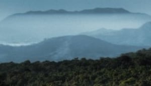 Wildlife Conservation Society