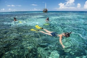 Zanzibar: 1 dags blå safari, oplevelse af den blå horisont