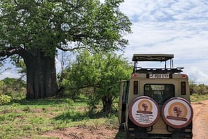 Zanzibar: 2-dniowe safari w Parku Narodowym Mikumi