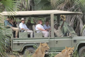 Zanzíbar: safari de 2 días por el Parque Nacional de Selous con vuelos