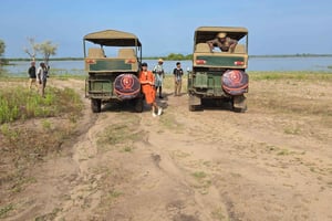 Zanzibar : Safari de 2 jours dans le parc national de Selous avec vols