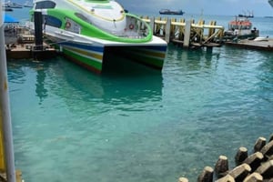 Zanzibar: 3-daagse safari in het Mikumi Nationaal Park met SGR trein