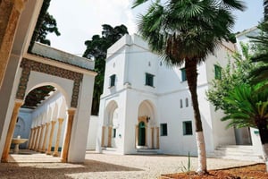 Zanzibar: 3 giorni di tour della città di Dar es Salaam e meraviglioso safari