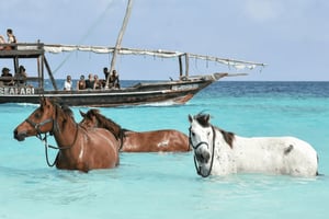 Sansibar: 3 Tage Reiten, Quadfahren & Parasailing