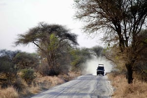 Занзибар: 4-дневный сафари с перелетом в Серенгети и Нгоронгоро