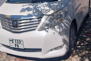 Zanzibar: Lufthavnstransport