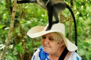 Zanzibar: Tur til hele sørregionen på én dag.