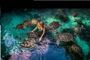 ザンジバル：バラーカ・タートル・アクアリウム・ツアー（ホテル送迎付き）