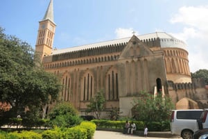 Zanzibar: Bat Watching and Tortoise Feeding Tour