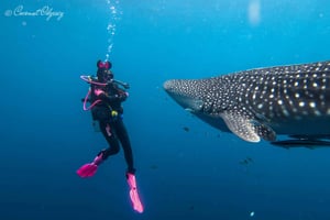 Escursione di un giorno a Zanzibar sull'isola di Bawe per fare snorkeling con pranzo
