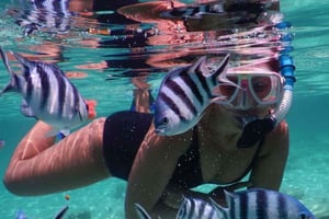 ZANZIBAR: Snorkling i Blå lagunen, sjöstjärnor och Stone Town-tur