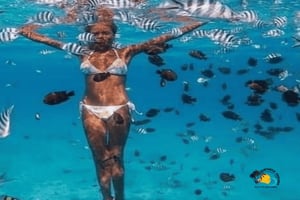 Zanzibar: Blå lagunen, sjöstjärnor och Jozani Forest Tour