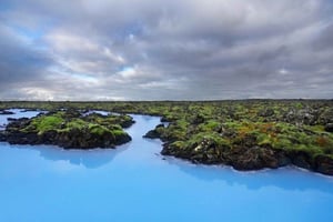 Zanzibar: Blå lagune, søstjerner, snorkling og bådtur