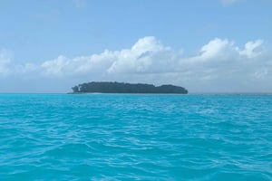 Zanzibar: Dagstur til Chumbe Island Coral Park med frokost