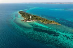 Zanzibar: Dagstur til Chumbe Island inkl. guidet snorkling
