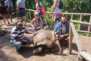 Escapadela de um dia em Zanzibar: Ilha da Prisão, banco de areia e Cidade de Pedra