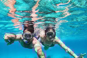 Zanzibar delfines+ snokling en mnemba con tortugas nadando