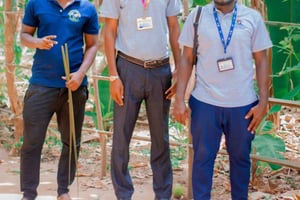 Sansibar-Erlebnis: Gewürz-Tour, Gefängnisinsel & Stone Town
