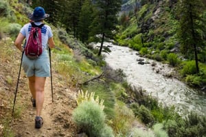 ZANZIBAR: Salaam-grotten, Jozani-skogen og Rock Restaurant