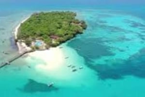 Zanzibar: Halvdagstur til Prison Island og Changuu Island