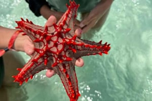 Zanzibarin salaisuudet: meritähti, Sininen laguuni ja The Rock -ravintola