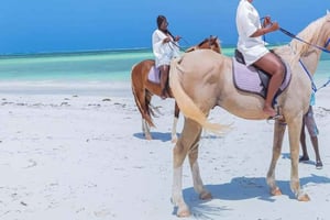 Zanzibar: Ridning, simning med sköldpaddor och rundtur i Stone Town