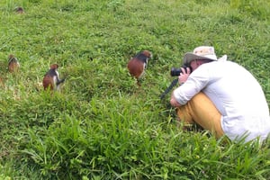 Zanzibar: Jozani Forest & Red Colobus Monkeys Private Tour