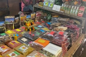 Sansibar: Jozani-Wald und Mama-Sansibar-Tour