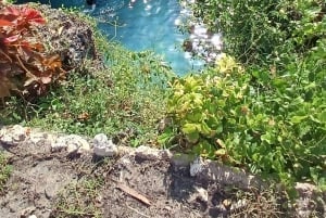 Zanzibar: Tour della foresta di Jozani e del santuario delle tartarughe marine