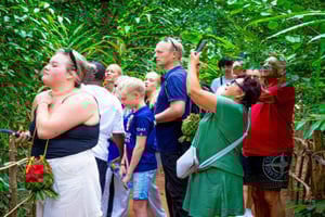 Zanzíbar: visita el bosque de Jozani y una plantación de especias